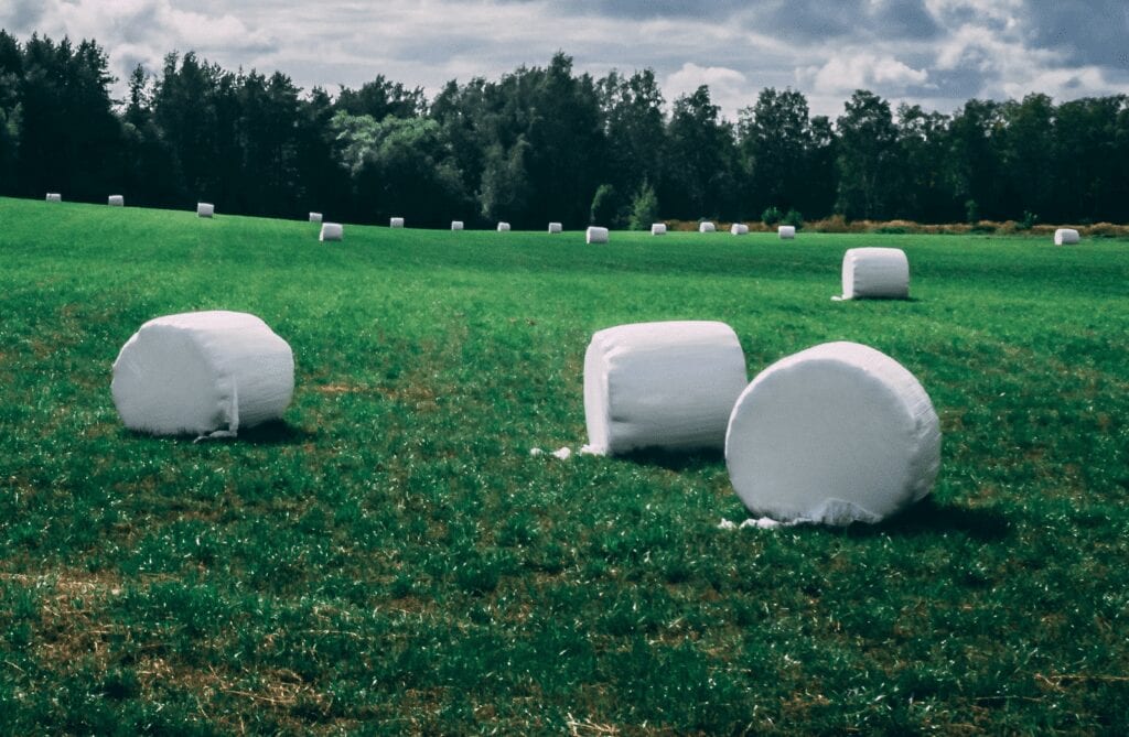 Balage Silage Bales Marshmallows in fields