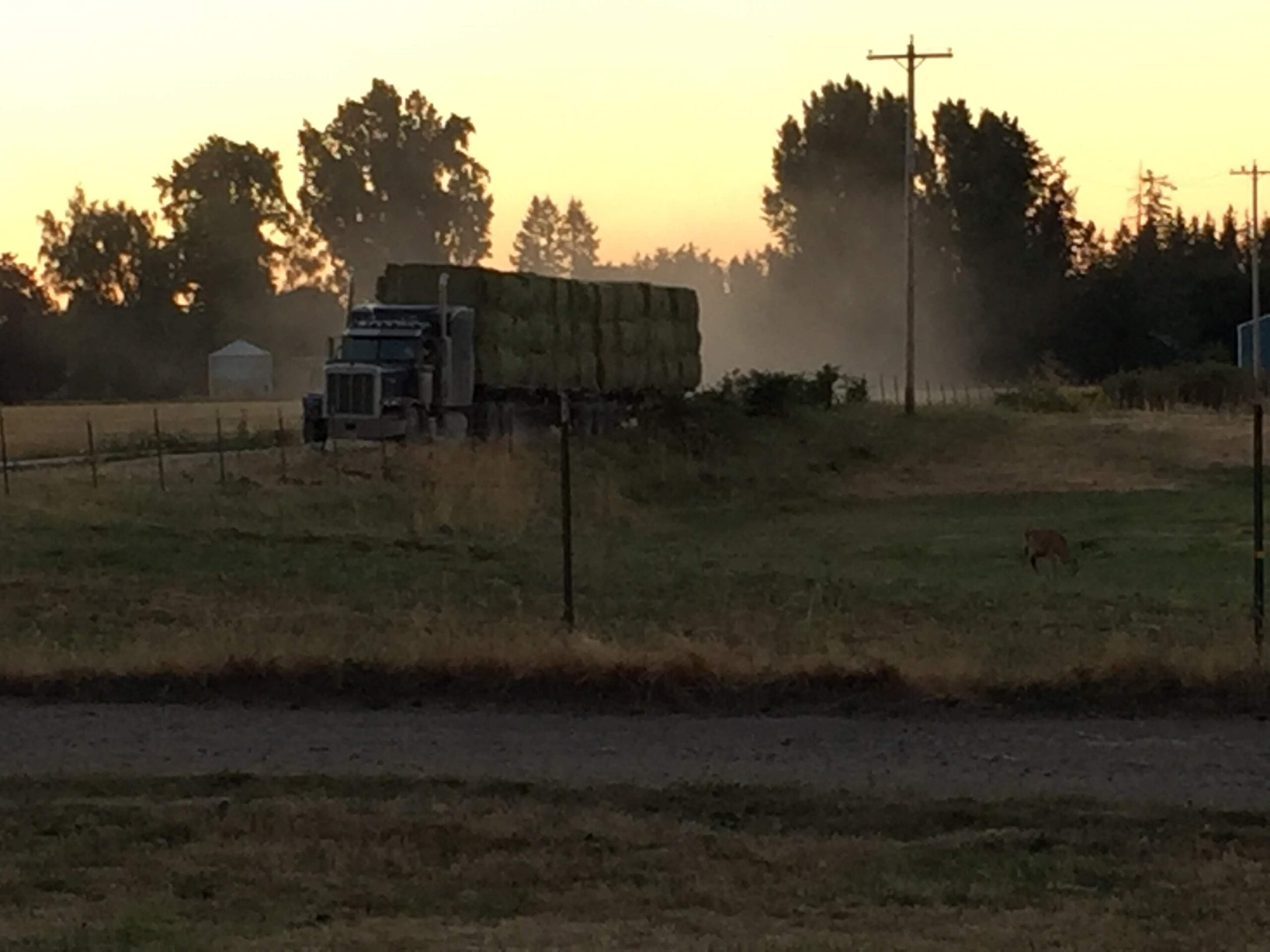 Hay truck