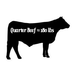 Pasture raised beef weight